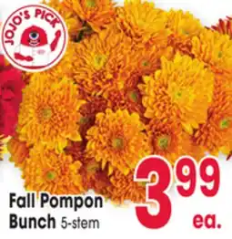 Jewel-Osco Fall Pompon Bunch offer