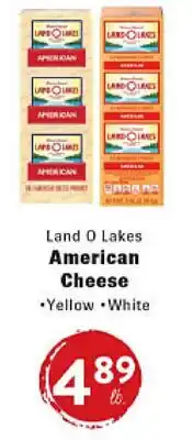 Rio Valley Market Land O Lakes American Cheese offer