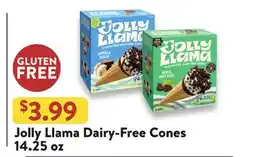 Fresh Thyme Jolly Llama Dairy-Free Cones offer