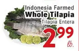 Rio Valley Market Indonesia Farmed Whole Tilapia offer
