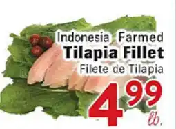 Rio Valley Market Indonesia Farmed Tilapia Fillet offer