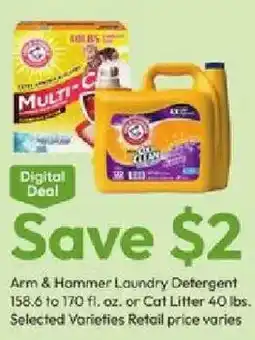 Stater Bros Arm & Hammer Laundry Detergent or Cat Litter offer