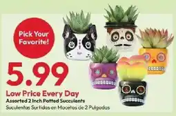 Stater Bros Assorted 2 Inch Potted Succulents offer