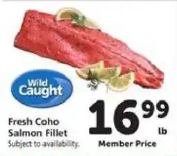 Safeway Fresh Coho Salmon Fillet offer
