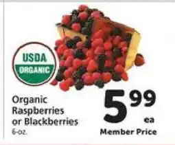 Safeway Organic Raspberries or Blackberries offer