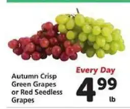 Safeway Autumn Crisp Green Grapes or Red Seedless Grapes offer
