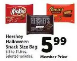Safeway Hershey Halloween Snack Size Bag offer