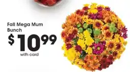 Pick'n Save Fall Mega Mum Bunch offer