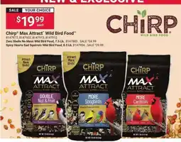 Giant Eagle Chirp Max Attract Wild Bird Food offer