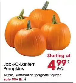 Giant Eagle Jack-O-Lantern Pumpkins offer