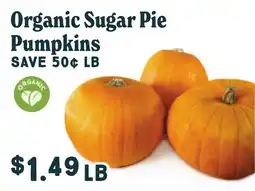 Market of Choice Organic Sugar Pie Pumpkins offer