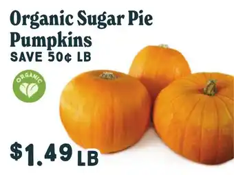 Organic Sugar Pie Pumpkins