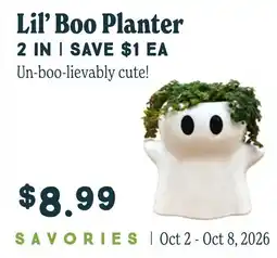 Market of Choice Lil' Boo Planter offer