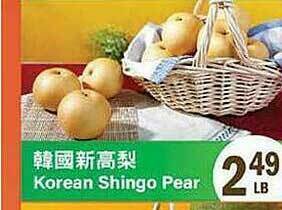 Korean Shingo Pear