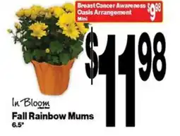 Super Saver In Bloom Fall Rainbow Mums offer