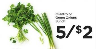 Food 4 Less Cilantro Or Green Onions offer