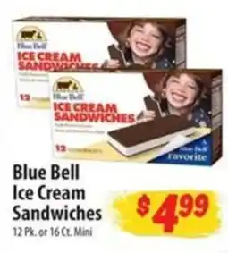 Food Giant Blue Bell Ice Cream Sandwiches offer