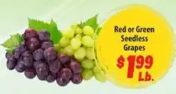 Food Giant Red or Green Seedless Grapes offer
