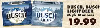 Busch light beer