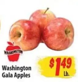 Food Giant Washington Gala Apples offer