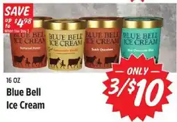 Rouses Blue Bell Ice Cream offer