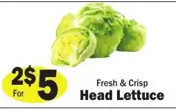 Sellers Bros Fresh & Crisp Head Lettuce offer