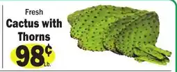 Sellers Bros Cactus with thorns offer