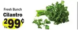 Sellers Bros Fresh Bunch Cilantro offer