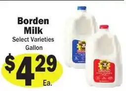 Sellers Bros Borden Milk offer