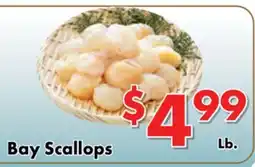 Valley Marketplace Bay Scallops offer