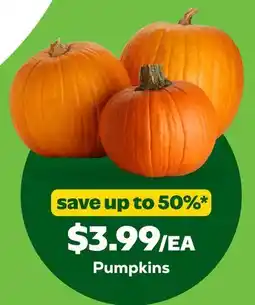 Grocery Outlet Pumpkins offer