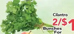 Eurofresh Market Cilantro offer