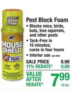 Menards DAP Pest Block Foam offer