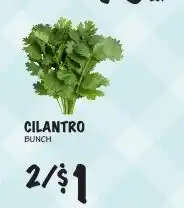 Foodarama Cilantro Bunch offer