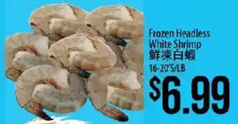 Frozen Headless White Shrimp