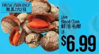 Live Blood Clam