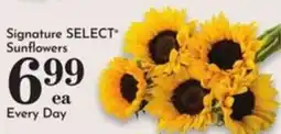 Pavilions Signature Select Sunflowers offer