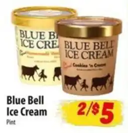 Food Giant Blue Bell Ice Cream offer