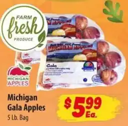Food Giant Michigan Gala Apples offer