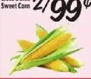 Sweet Corn