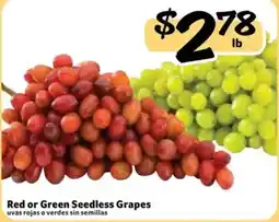 Fresco y Más Red or Green Seedless Grapes offer