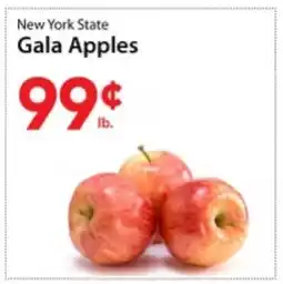 Three Guys from Brooklyn New York State Gala Apples offer