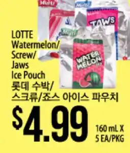 Hmart LOTTE Watermelon/Screw/Jaws Ice Pouch offer
