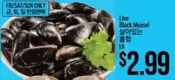 Hmart Live Black Mussel offer