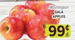 Cermak Fresh Market Washington GALA APPLES offer