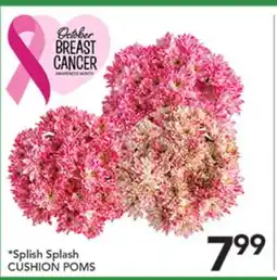 Pete's Fresh Market Splish Splash CUSHION POMS offer