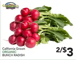 Pete's Fresh Market California Grown ORGANIC BUNCH RADISH offer