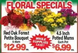Angelo Caputo's Fresh Market FLORAL SPECIALS offer