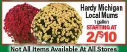 Angelo Caputo's Fresh Market Hardy Michigan Local Mums offer