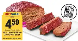Food Lion 73% Lean Fresh Ground Beef offer